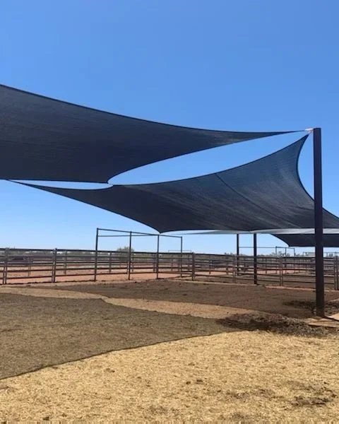 Cattle Station Shade Sails