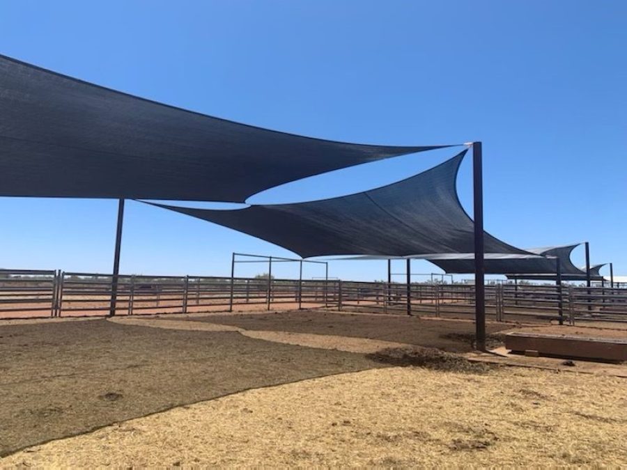 Cattle Station Shade Sails