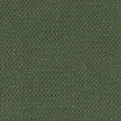 Rainbow Shade Z16 shade fabric in Olive